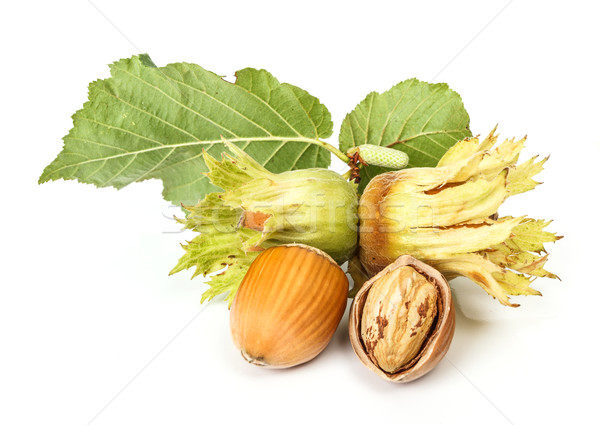 Stock photo: Hazelnuts on white background