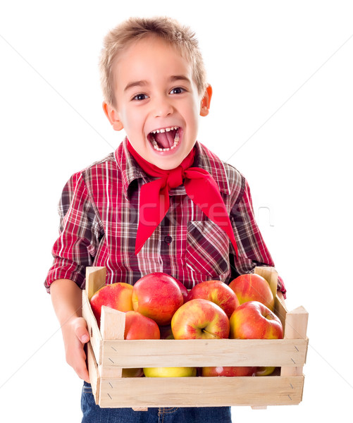 Happy farmer boy holding apples Stock photo © erierika