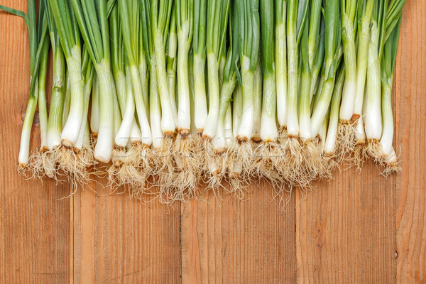 Spring onions on wooden board Stock photo © erierika