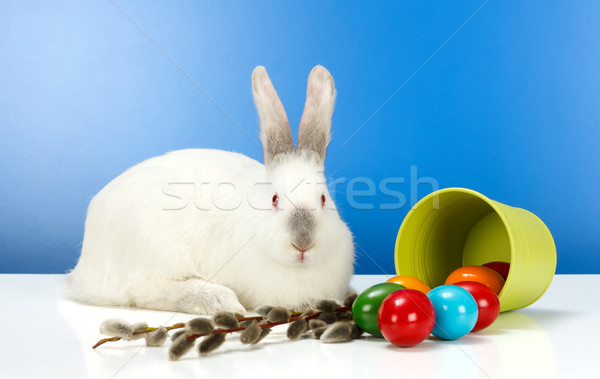 Easter rabbit and eggs Stock photo © erierika