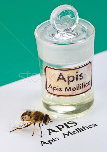 Apis Mellifica sheet, the bee and poison extract Stock photo © erierika