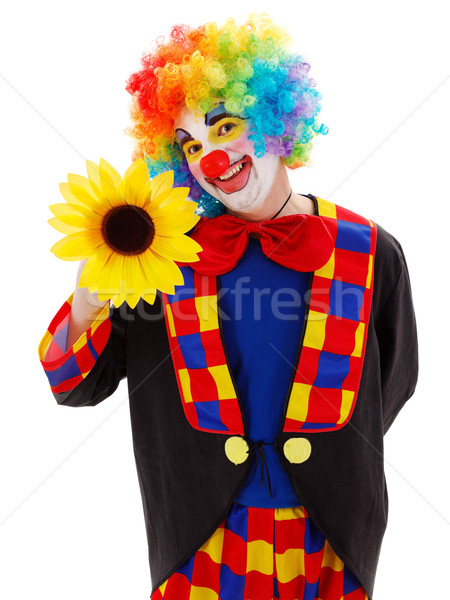 Clown groot gele bloem glimlachend kleurrijk pruik Stockfoto © erierika