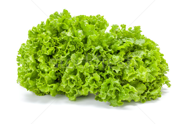 Big green leaf lettuce Stock photo © erierika