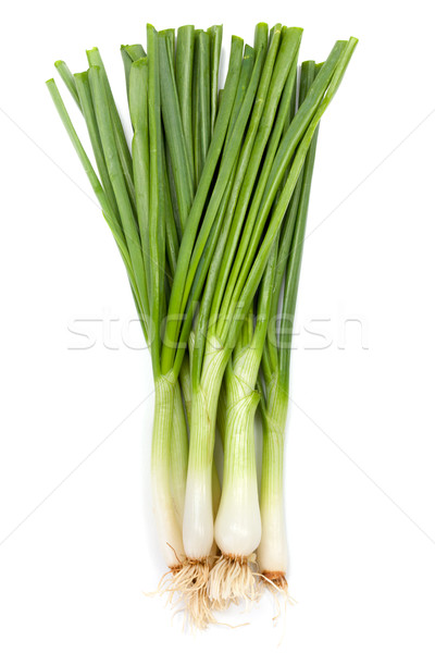 Bunch of green onions on white Stock photo © erierika