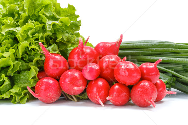 świeże wiosną warzyw rzodkiewka sałata biały Zdjęcia stock © erierika