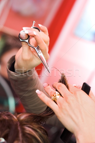 頭髮 美髮師 工作 剪刀 時尚 商業照片 © erierika