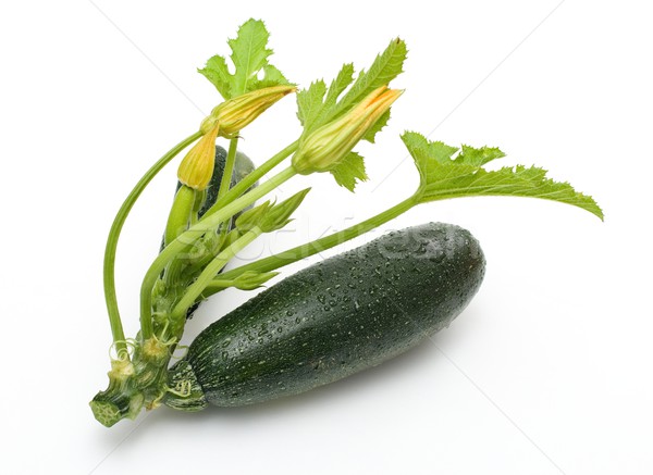 Zucchini Stock photo © erierika