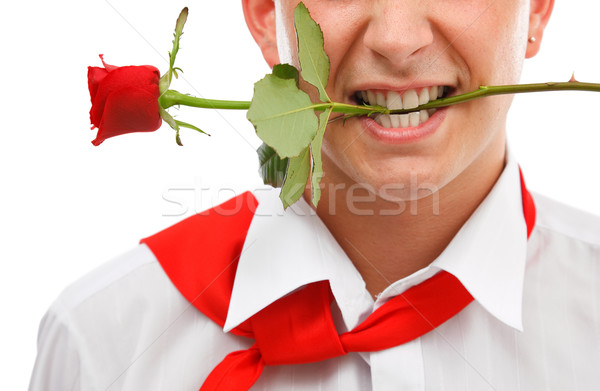 Férfi rózsa száj fiatalember tart piros rózsa Stock fotó © erierika