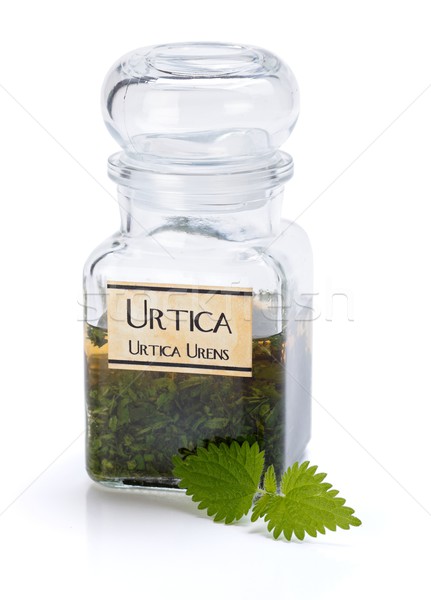 Urtica Urens plant extract Stock photo © erierika