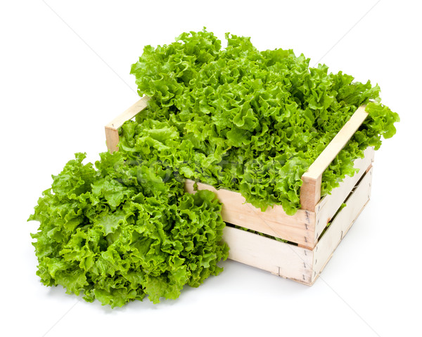 Green leaf lettuce in crate Stock photo © erierika