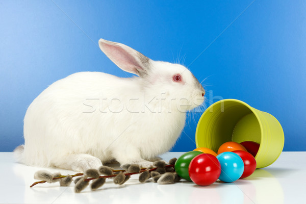 Easter rabbit and eggs Stock photo © erierika