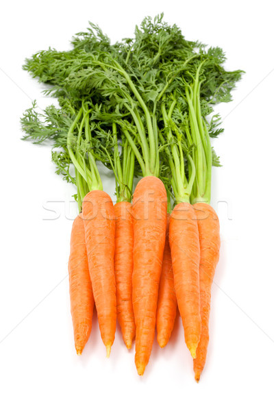 Carrots (Daucus carota ssp. sativus) Stock photo © erierika