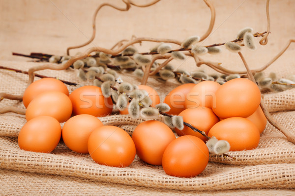 Brown eggs and catkin Stock photo © erierika