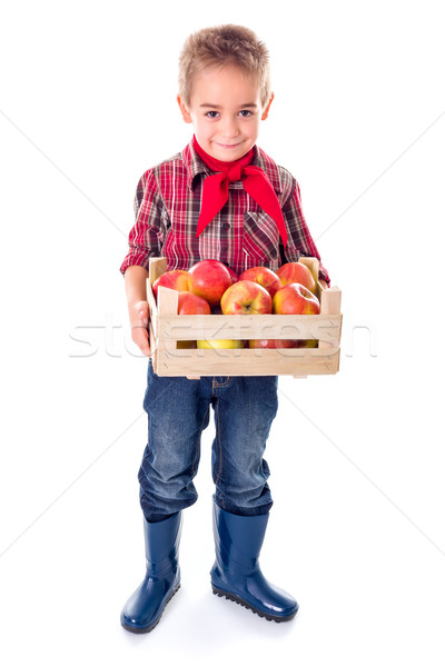 Little farmer boy holding apples Stock photo © erierika