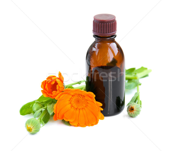Herbal medicine Stock photo © Es75