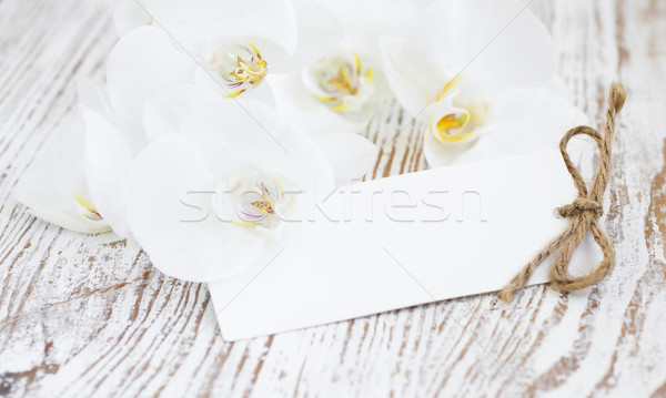 Orkide boş kart beyaz ahşap doğa arka plan Stok fotoğraf © Es75