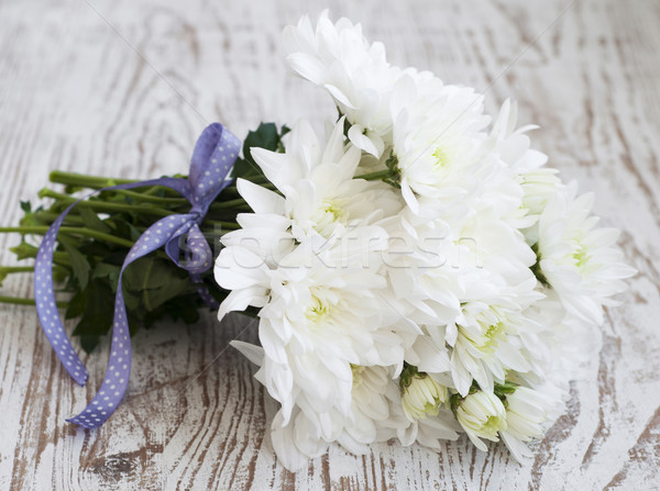 商业照片: 白· 菊花 · 花束 ·木·花· 春天