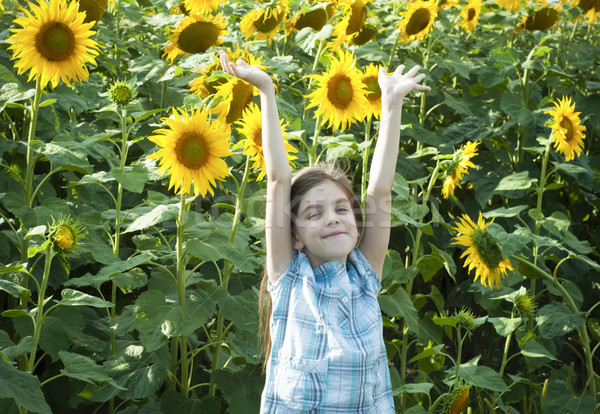 Foto stock: Hermosa · nino · girasol · verano · campo · cielo