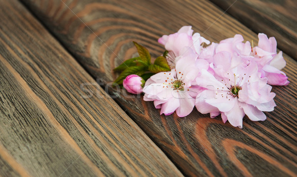 Sakura Blüte rosa alten Holz Blumen Stock foto © Es75
