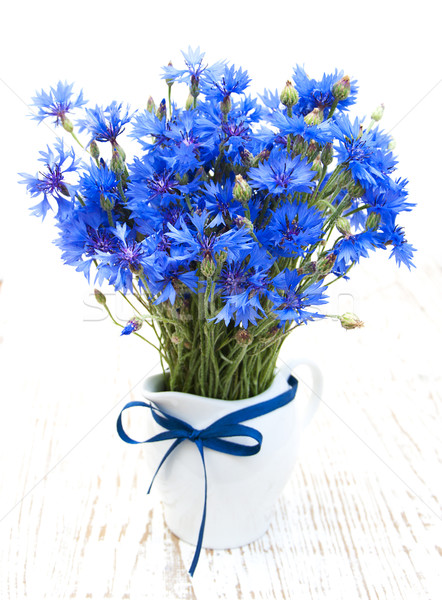 Foto stock: Azul · velho · branco · flores · folha