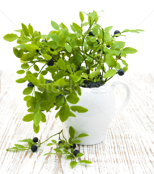 Stock photo: Blueberry branch