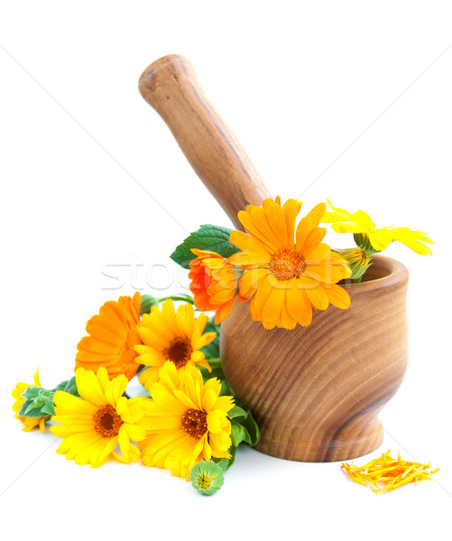 Stock photo: Calendula flowers and mortar