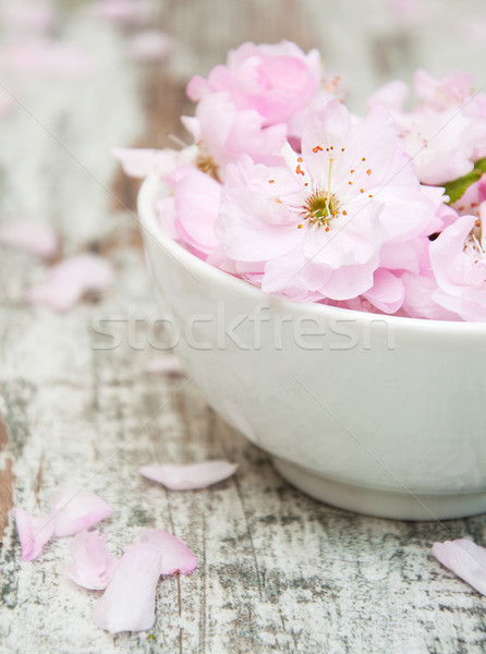 Stockfoto: Bloemen · sakura · bloesems · kom · water · oude