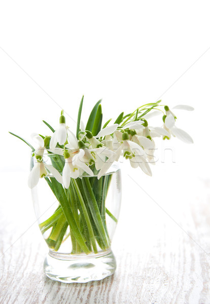 Bouquet of snowdrop flowers Stock photo © Es75