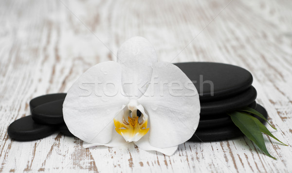 Spa pietre orhidee floare natură Imagine de stoc © Es75