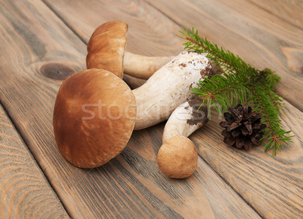 Tinóru gomba gombák öreg fából készült textúra fa Stock fotó © Es75