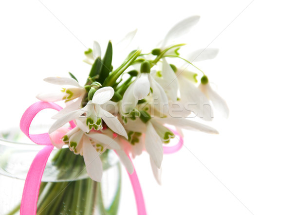 Foto stock: Primavera · monte · flores · branco · natureza · folha
