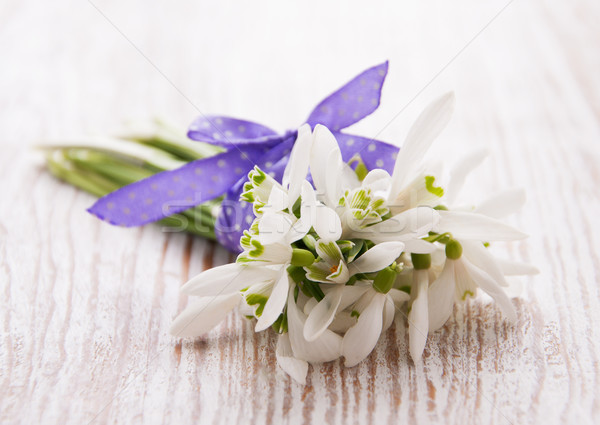 Stock photo: Bunch of snowdrop flowers