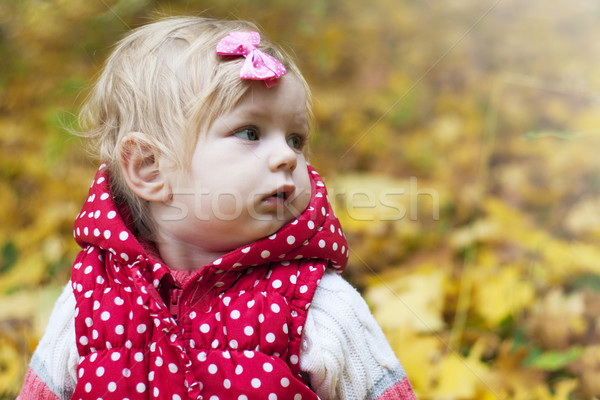 Autunno ritratto bella parco ragazza Foto d'archivio © Es75