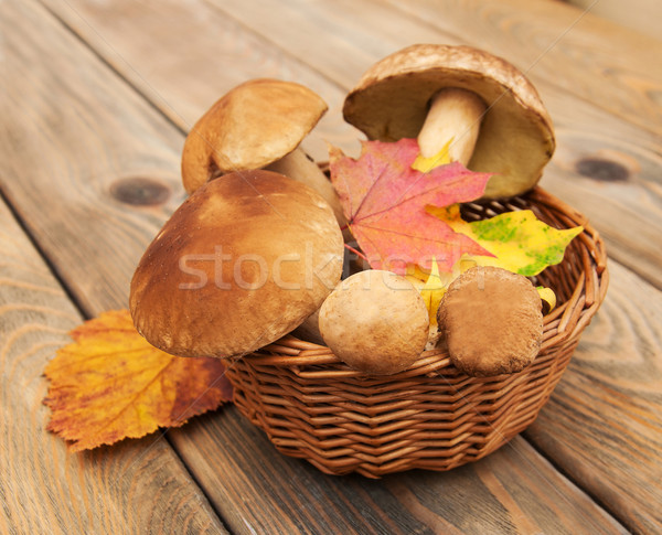 Tinóru gomba gombák kosár fából készült textúra fa Stock fotó © Es75
