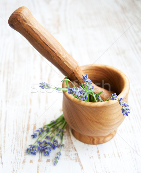 Mortar and pestle with lavender Stock photo © Es75