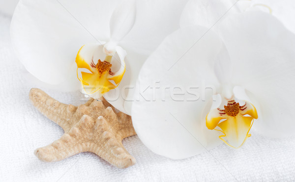 Spa set alb orhidee prosop lemn Imagine de stoc © Es75
