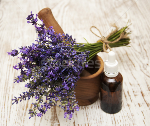 Mortar and pestle with lavender Stock photo © Es75