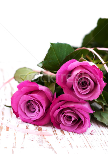 Pink Roses Stock photo © Es75