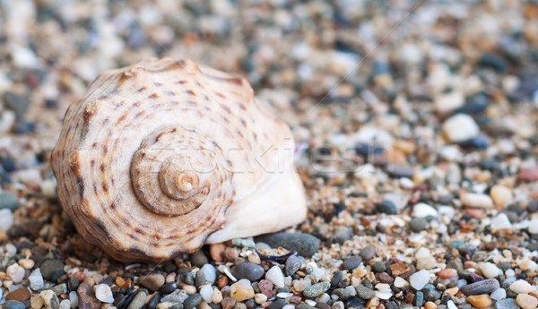 beach stones Stock photo © Es75