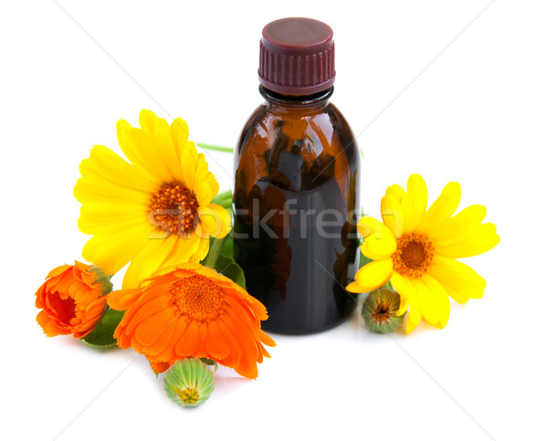 Stock photo: Herbal medicine