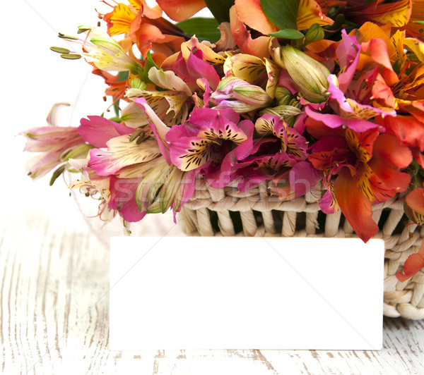 Alstroemeria Flowers Stock photo © Es75