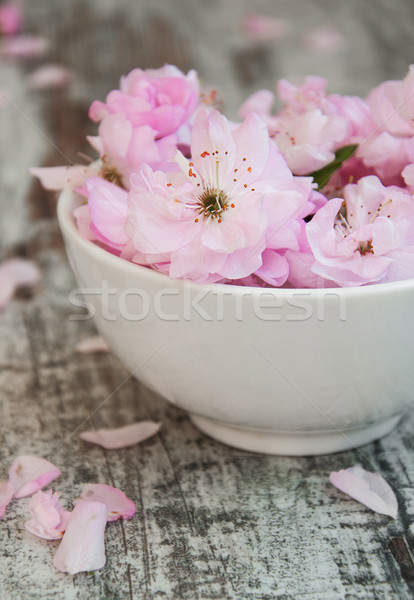 Blumen sakura Blüten Schüssel Wasser alten Stock foto © Es75