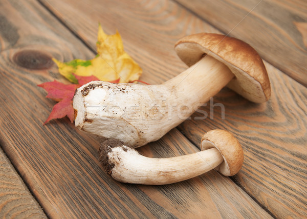 Boletos cogumelos velho textura madeira Foto stock © Es75