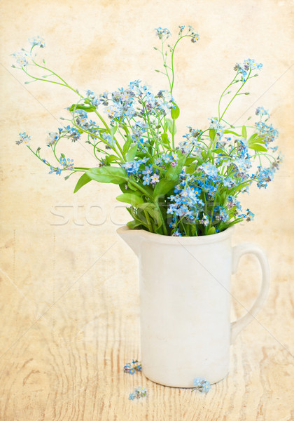 Bunch of forget-me-nots flowers Stock photo © Es75