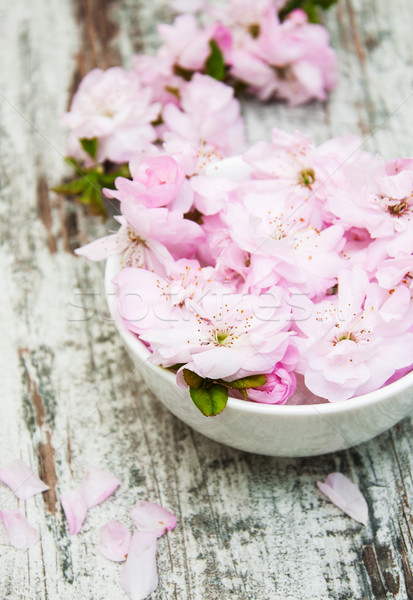 Stockfoto: Bloemen · sakura · bloesems · kom · water · oude