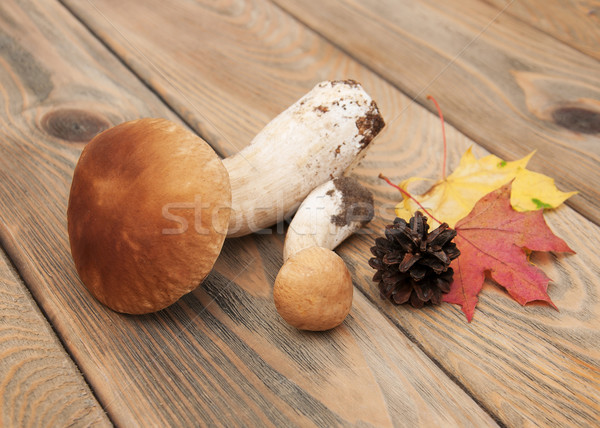 Cèpes champignons vieux bois texture bois Photo stock © Es75