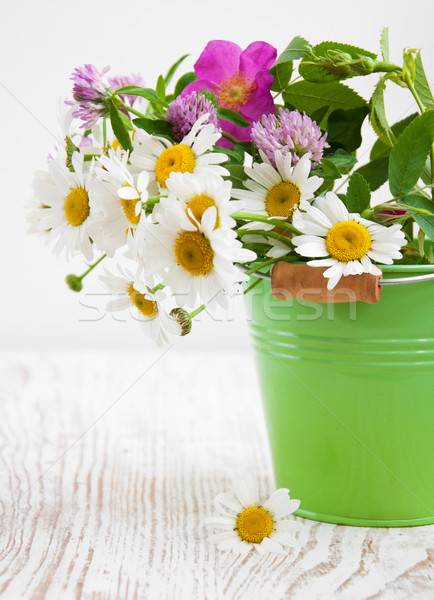 Foto stock: Balde · flores · silvestres · primavera · madeira · natureza