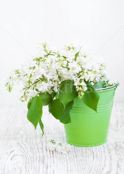 Stock photo: Bouquet of a white  lilac