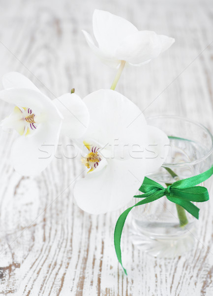 Bouquet Orchideen weiß Glas Blume Natur Stock foto © Es75