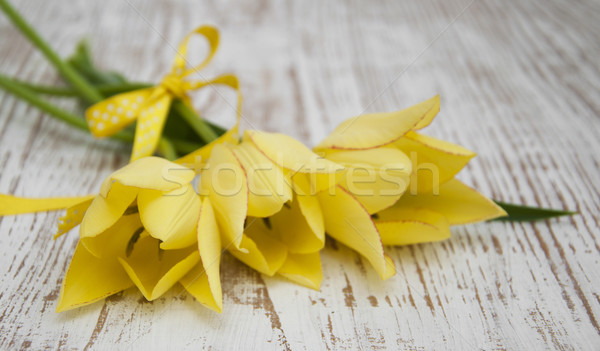 желтый тюльпаны три Пасху природы Сток-фото © Es75